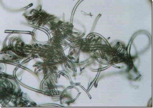 nylon_chemistry_100