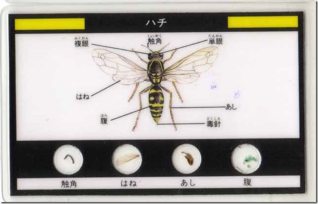 bee0a