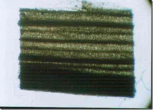 iris3