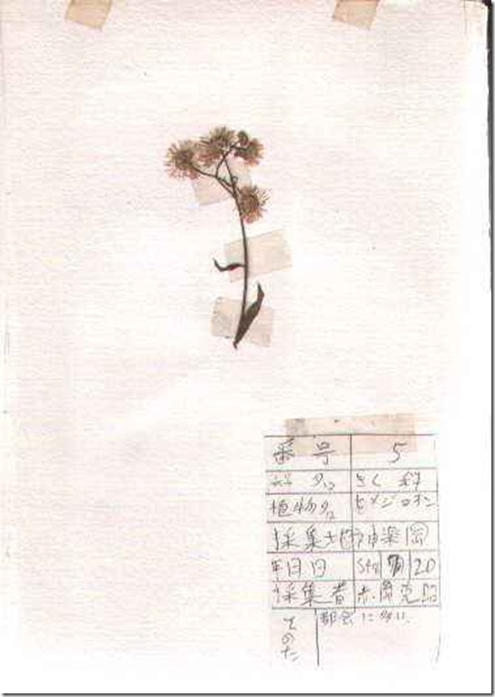 plant05