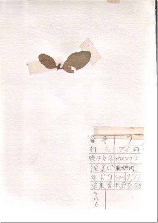 plant07