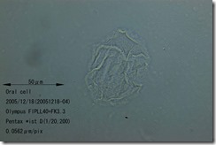 00071-02 00071-02