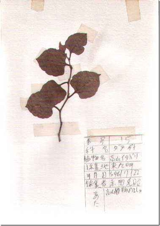 plant15
