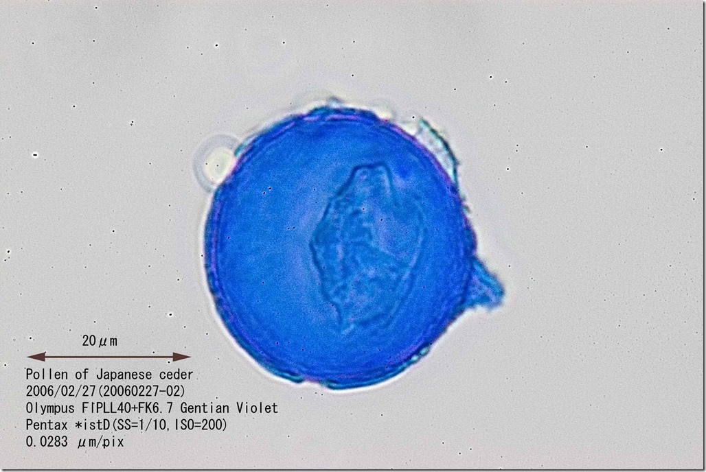 00076-08 00076-08