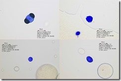 00076-09 00076-09
