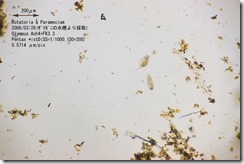 00079-01 00079-01