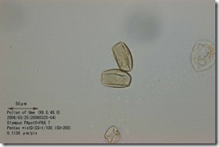 00080-02 00080-02