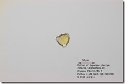 00081-02 00081-02