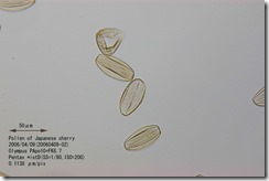 00081-03 00081-03