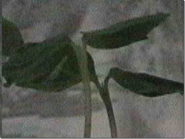 photo0522
