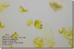 00085-02 00085-02