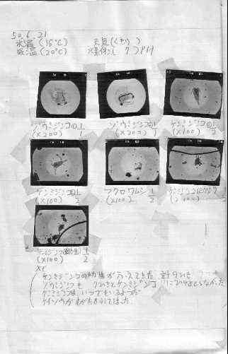 1975/6/21�̋L�^
