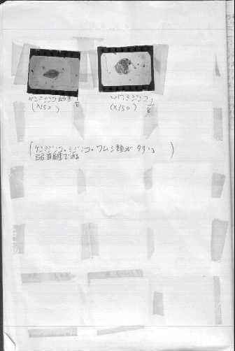 1975/0721�̋L�^