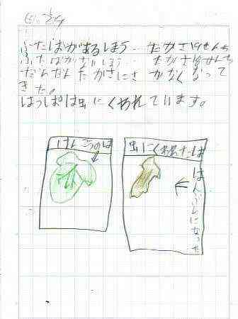 観察ノート