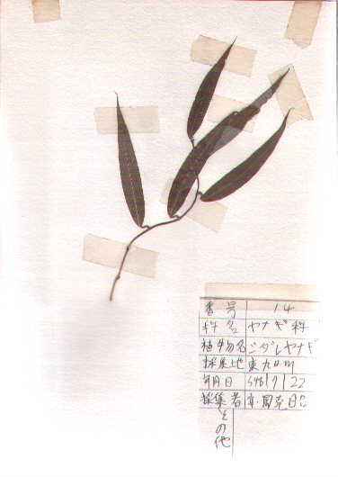 �V�_�����i�M