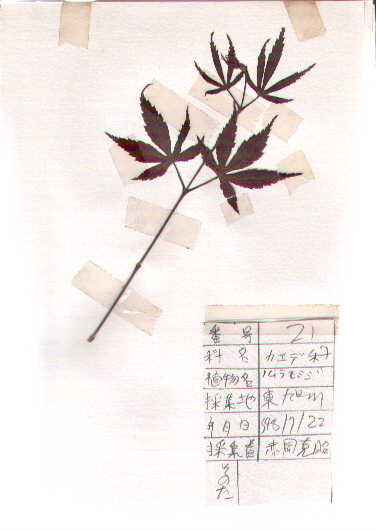 �m�������~�W