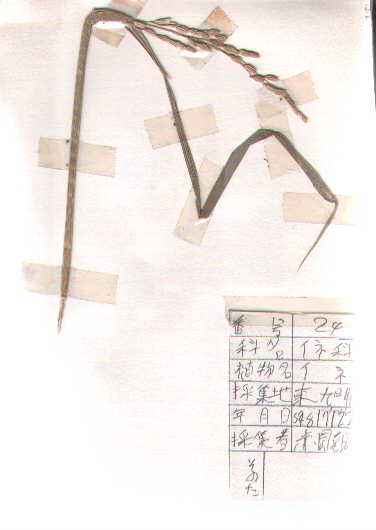 �C�l