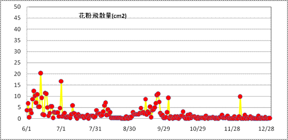 2008年後半の花粉採取