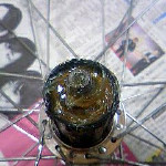 �X�v���P���O���X�A�b�v