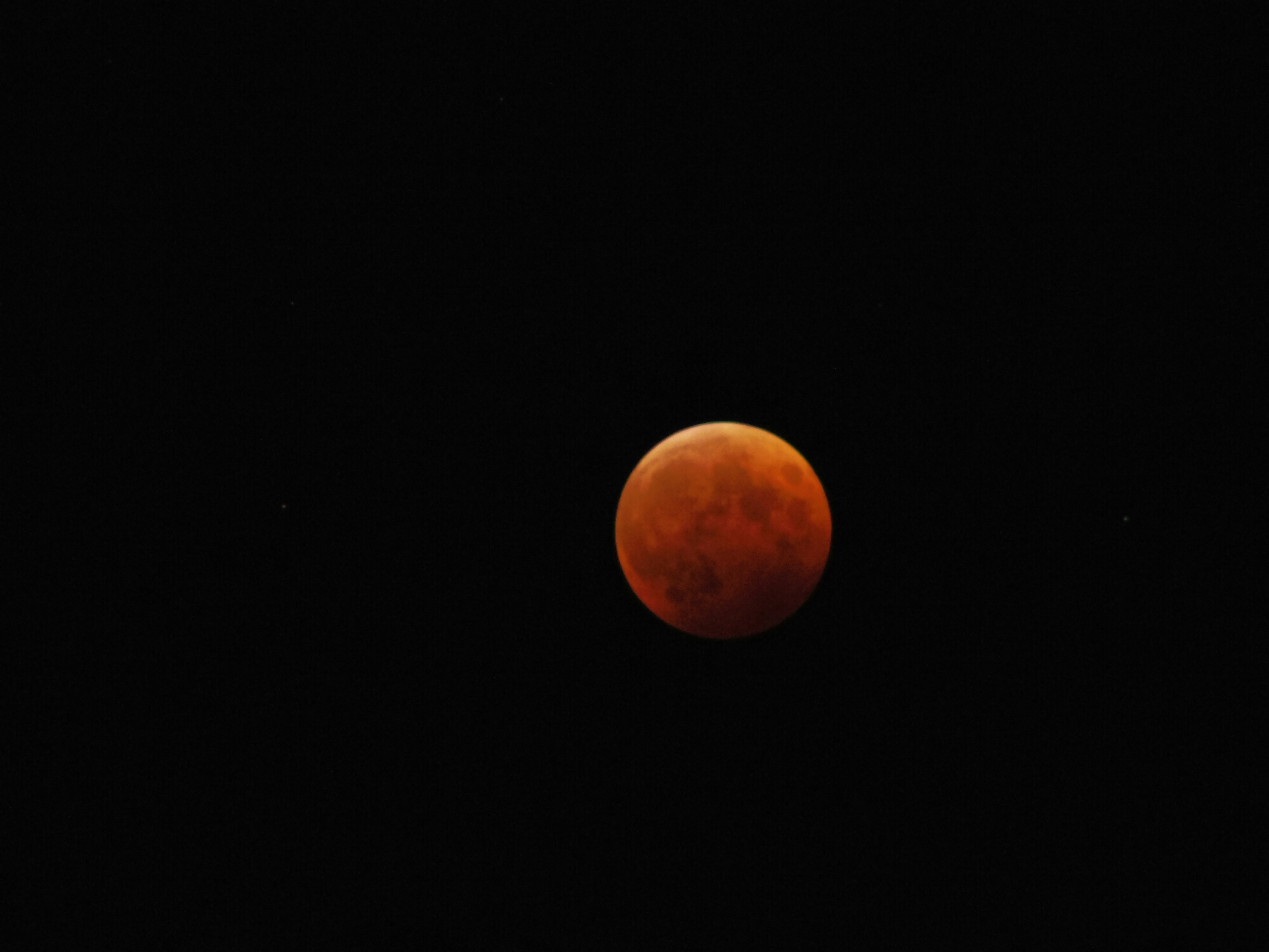 IMGP0871.JPG image
