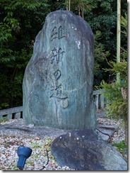 IMGP1079
