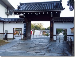 IMGP1082