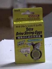 eggs_2