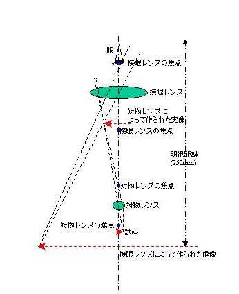 microscope1