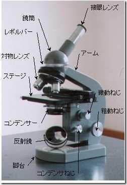microscope