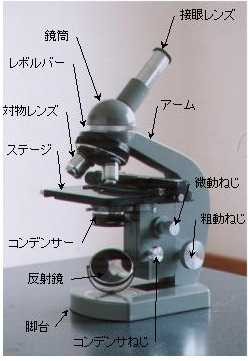 microscope
