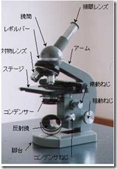 microscope