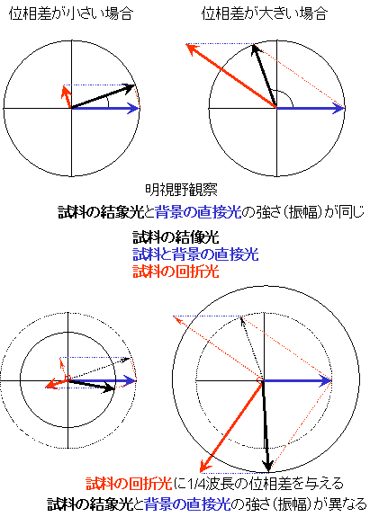 phase-1