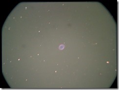 m57-0001-0010