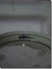 crown00