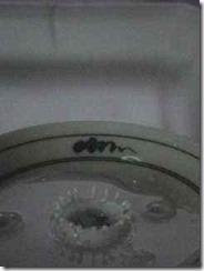 crown01