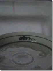 crown04