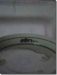 crown06