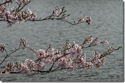 IMGP0169