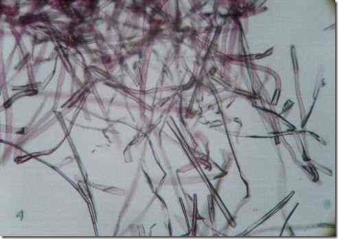 panya_fiber_100