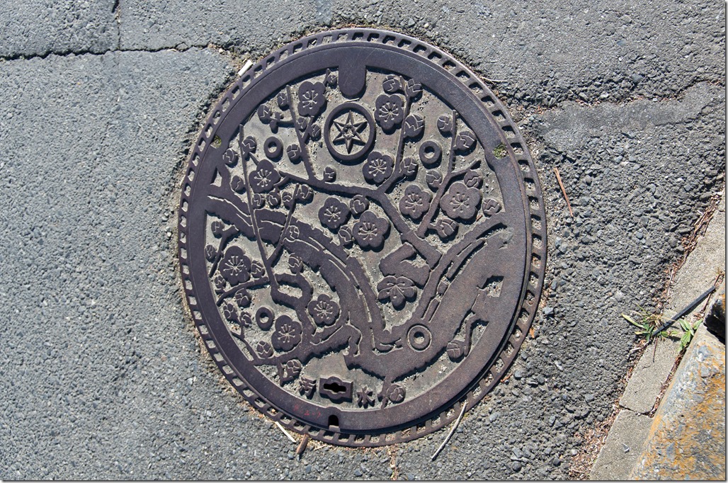 IMGP1767