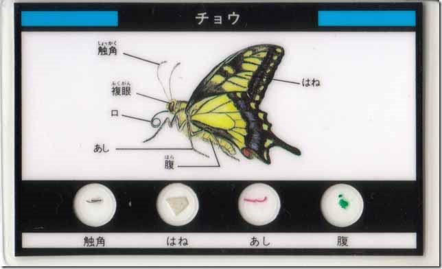 butterfly0a