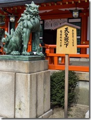 IMGP1804