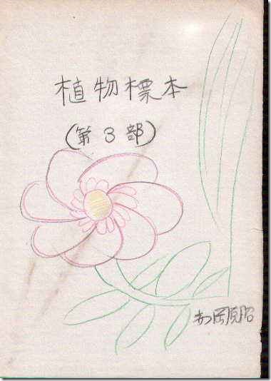 cover3