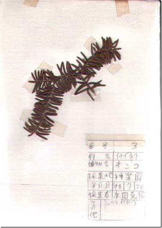 plant03