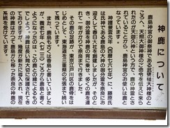 IMGP2093