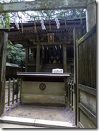 IMGP2098