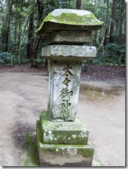 IMGP2100