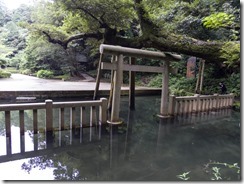 IMGP2104