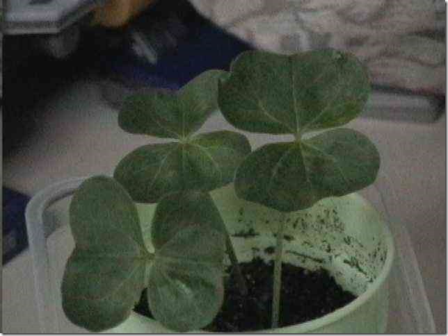 photo0520