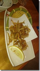 DSC_0519
